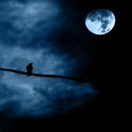 Noche de luna llena - Full Moon Night, by *L*u*z*a*