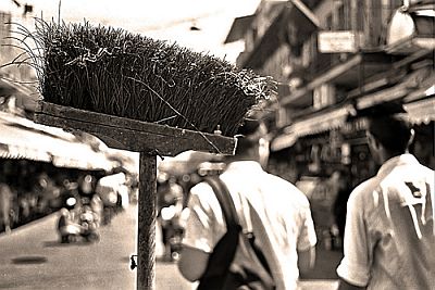 Broom at the market, by kobylib