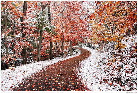 Two Seasons, by Bill Heine