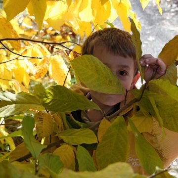 Yellow leaved boy, by lepiaf.geo